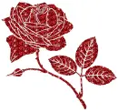 rose
