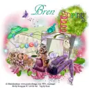 Sweet Spring - Bren