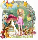 Good night my friend