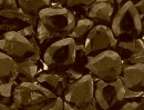 Dark Brown Jewel