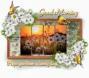 Good Morning