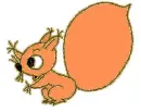 squirrel