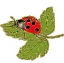 ladybird