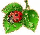 ladybird