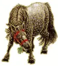 piebald horse