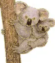 koala family