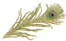 peacock feathers