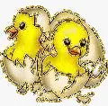 2 chicks