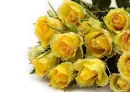 yellow rosas