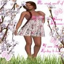 Cherry Blossoms