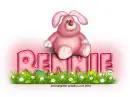 Pink Easter Bunny: Rennie