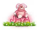 Pink Easter Bunny: Jaya