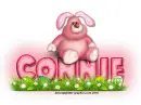 Pink Easter Bunny: Connie