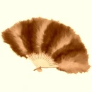 Feather Fan