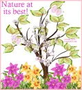 Nature at its best