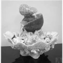 Silver Seashell Fountain