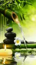 Bamboo Fountain