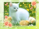 Easter Chicks~!