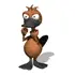 small platypus