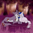 wolf pair