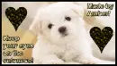 Look at the cuteness!
