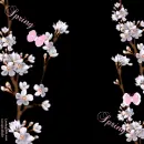 Spring Flowers