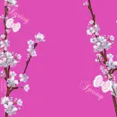 SPRING FLOWERS