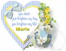 Life Brightener- Marie