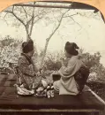 1800s Vintage Geisha