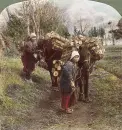 Japanese Vintage Firewood dealers