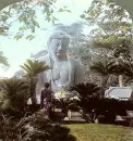 Great Buddha of Kamakura
