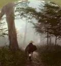 Japanese traveler