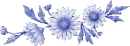 blue flower
