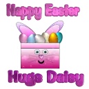 Daisy