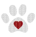 cat paw