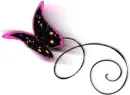 Sparkle Butterfly