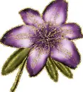 purple flower