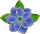 blue flower