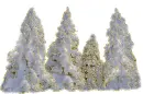 snowy pines