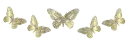 silver butterflies
