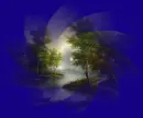 trees in the blue color