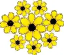 yellow flowers