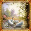 Autumn Swans