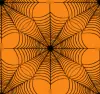 orange background