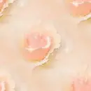 rosa background