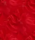 red flowers