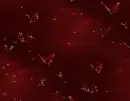 red butterflies