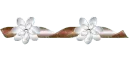 2 white flower