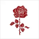 rose