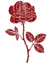 rose